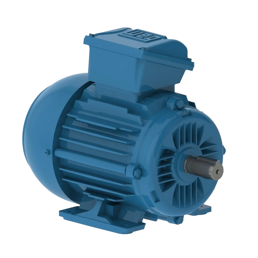 Motores monofásicos Rossi - . : BKB MAQUINARIA INDUSTRIAL